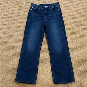 7 For All Mankind Alexa Hazel Jeans size 28 High Waist Straight Leg